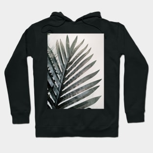 palm tree leave, green leave, photography Hoodie